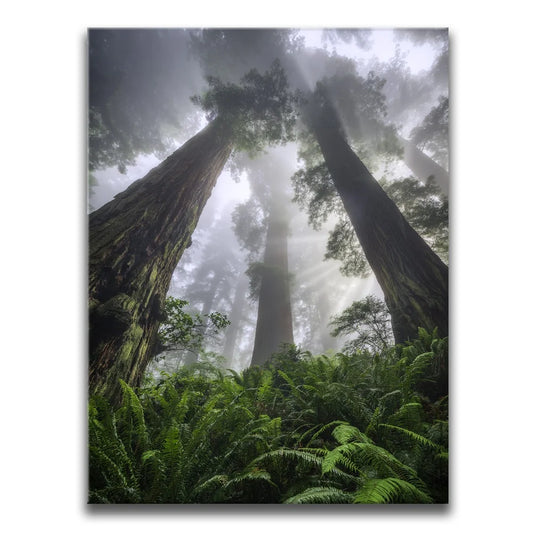 Nature's Sentinels Posters, Prints, & Visual Artwork TheGoatWallArt PORTRAIT 18x24 0.75" STANDARD
