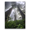 Featured image 1 for Nature's Sentinels