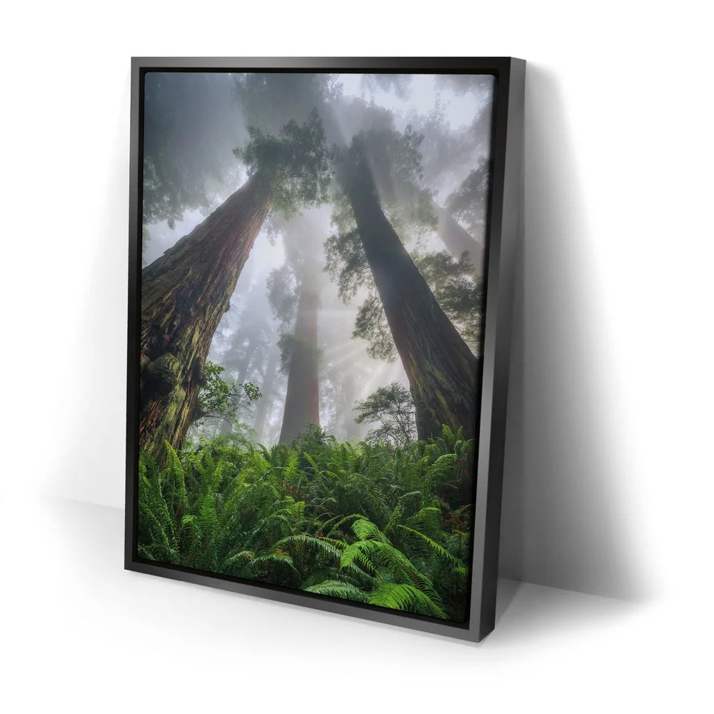 Featured image 2 for Nature's Sentinels