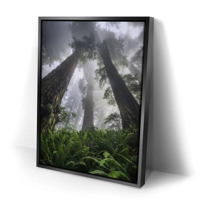 Featured image 2 for Nature's Sentinels