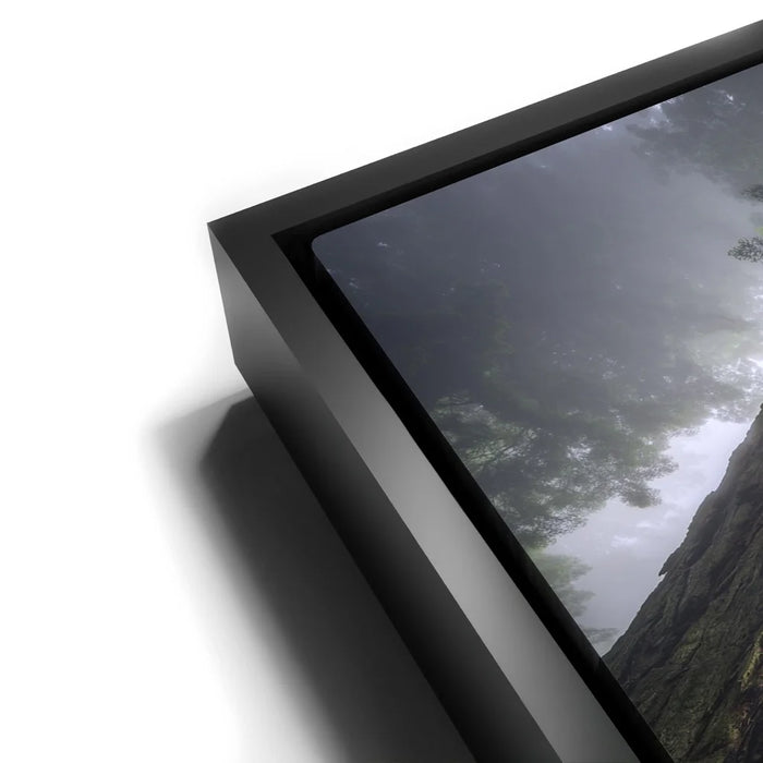 Featured image 11 for Nature's Sentinels