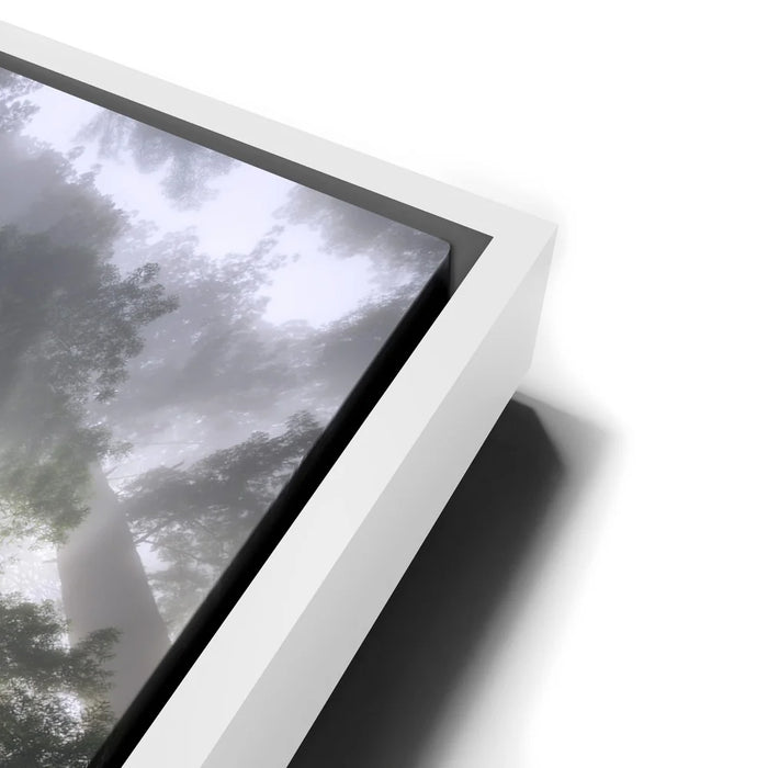 Featured image 13 for Nature's Sentinels