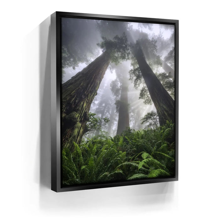 Featured image 5 for Nature's Sentinels