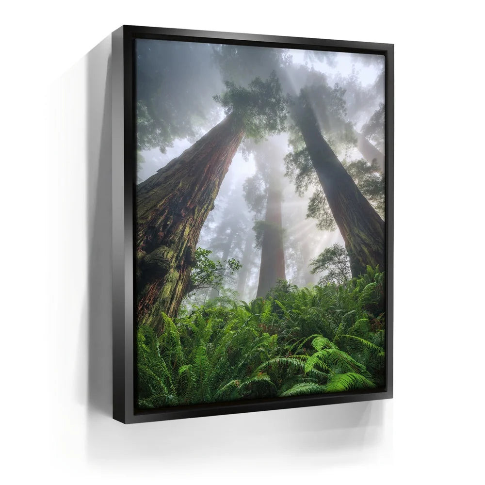 Featured image 5 for Nature's Sentinels