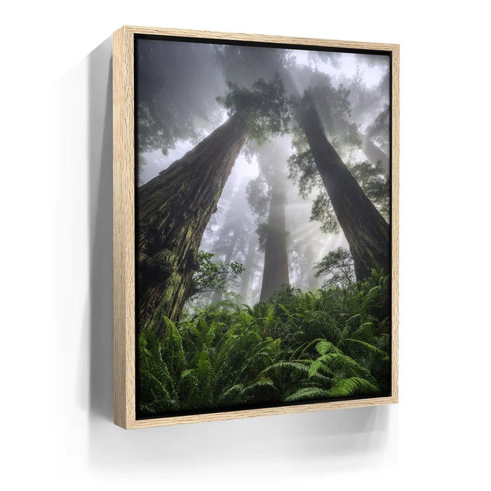 Featured image 9 for Nature's Sentinels