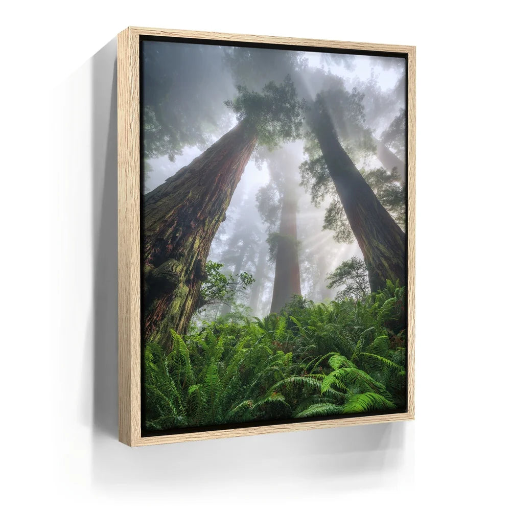 Featured image 9 for Nature's Sentinels