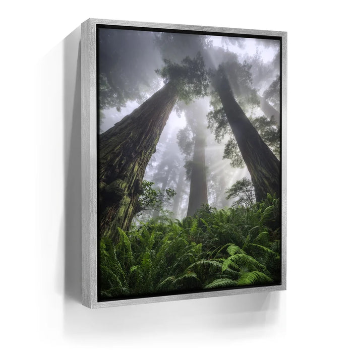 Featured image 8 for Nature's Sentinels