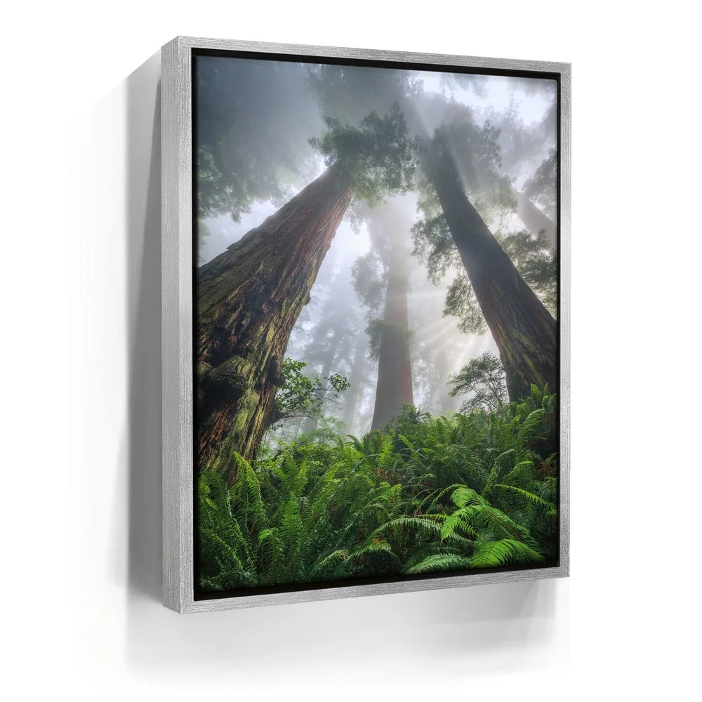 Featured image 8 for Nature's Sentinels