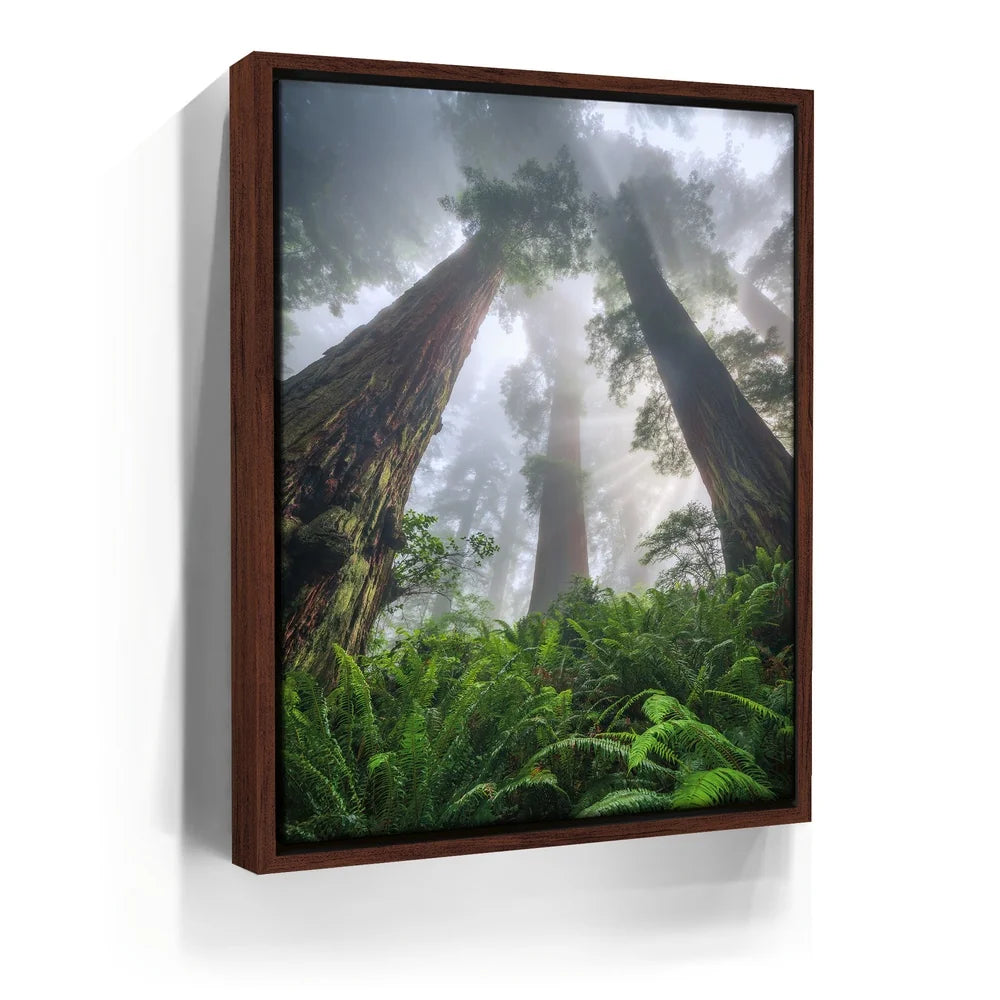 Featured image 10 for Nature's Sentinels