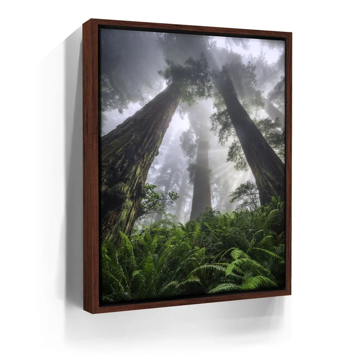 Featured image 10 for Nature's Sentinels