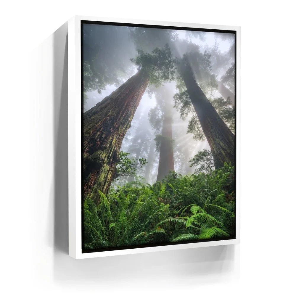 Featured image 6 for Nature's Sentinels