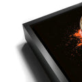 Thumbnail image 11 for NETHERLANDS, DRAPED IN DESTINY - FOOTBALL