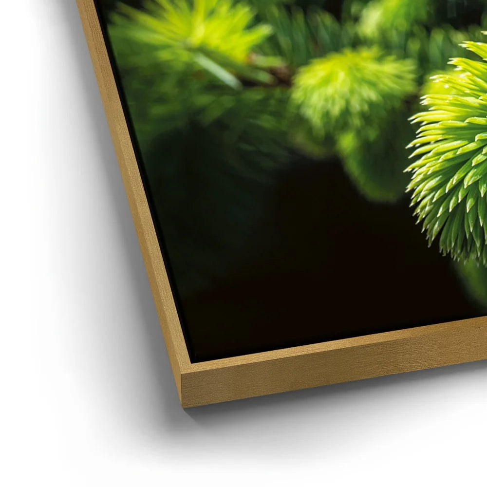 Featured image 12 for New Growth