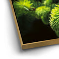 Thumbnail image 12 for New Growth