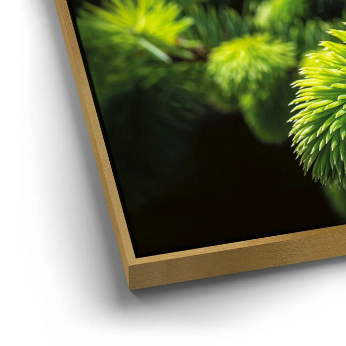 Featured image 12 for New Growth