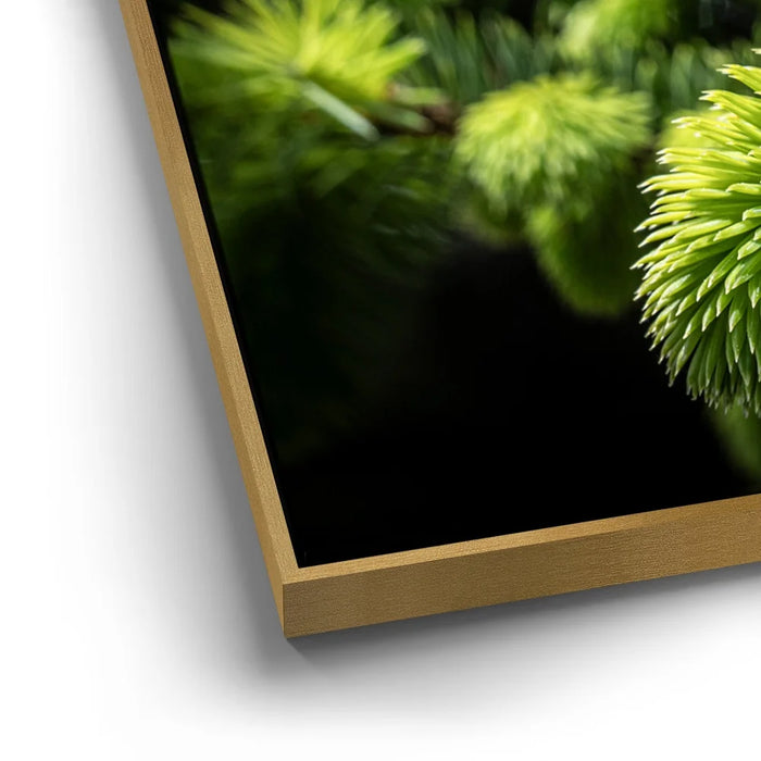 Featured image 12 for New Growth