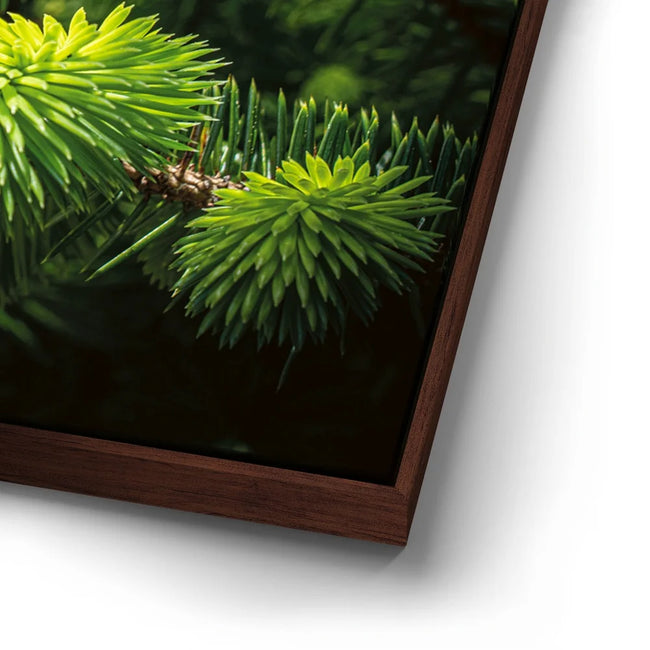 Featured image 14 for New Growth
