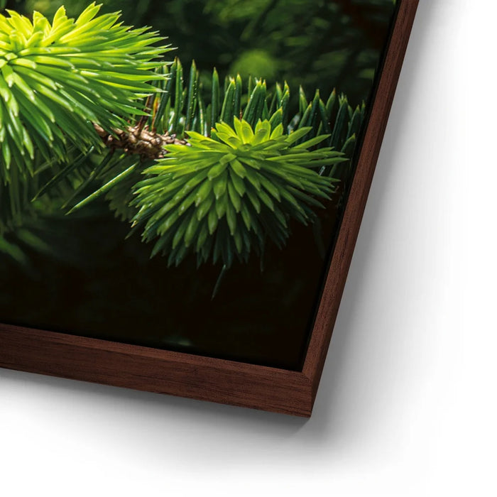 Featured image 14 for New Growth