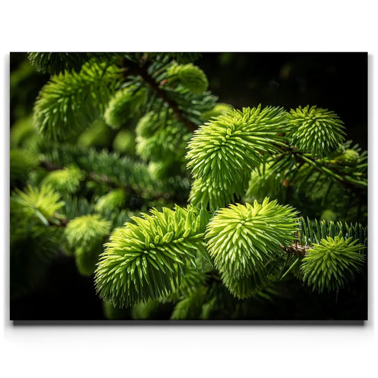 New Growth Posters, Prints, & Visual Artwork TheGoatWallArt LANDSCAPE 24x18 0.75" STANDARD