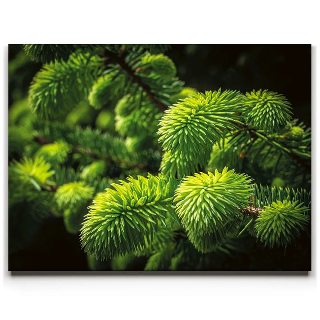 Featured image 1 for New Growth