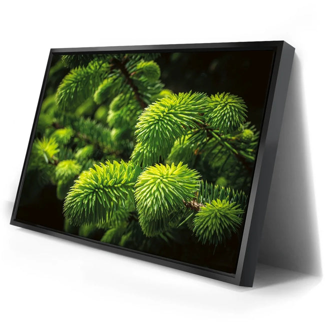 Featured image 2 for New Growth