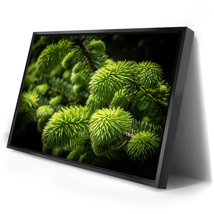 Featured image 2 for New Growth