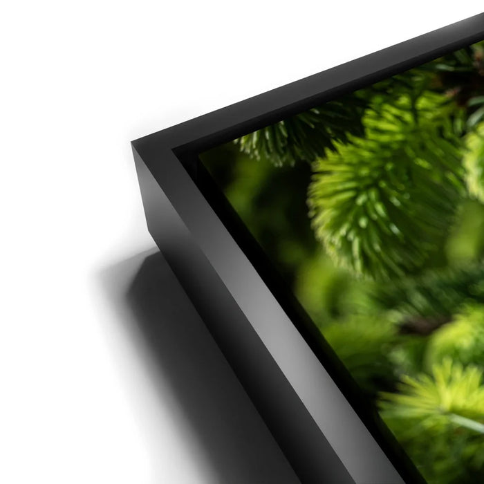 Featured image 11 for New Growth