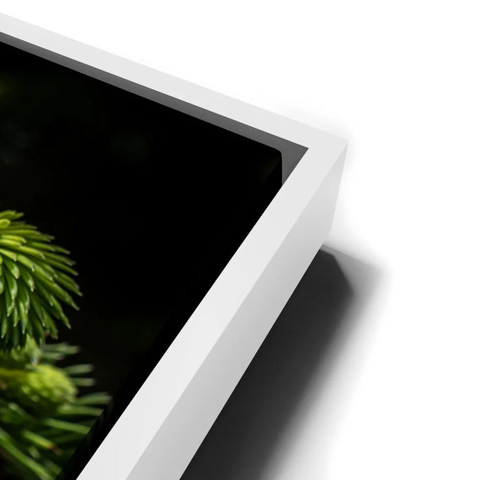 Featured image 13 for New Growth