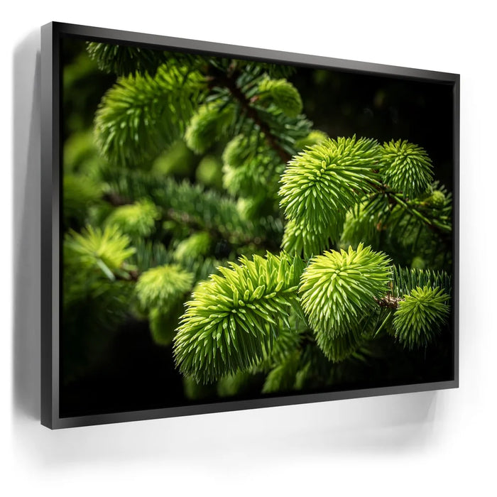 Featured image 5 for New Growth