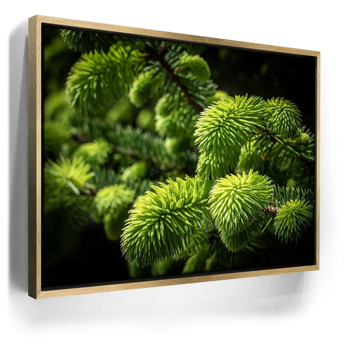 Featured image 7 for New Growth