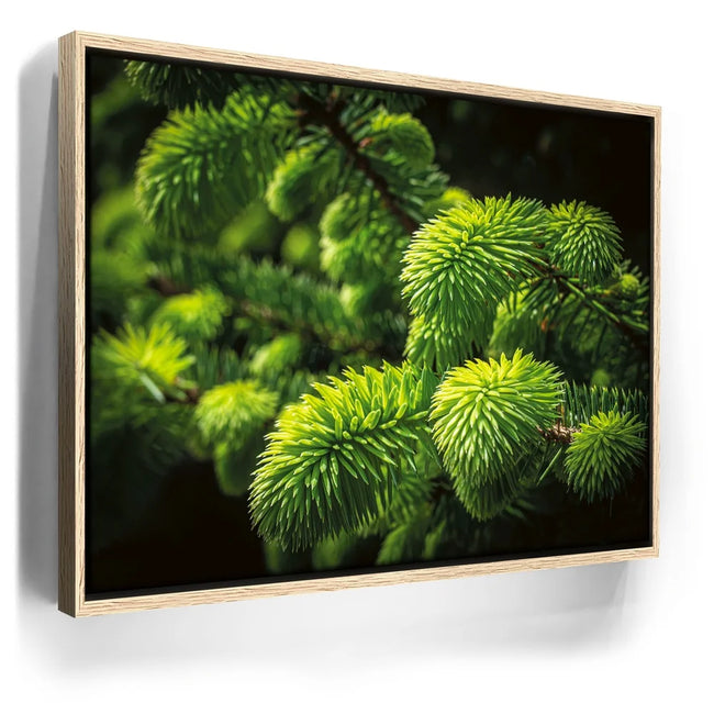 Featured image 9 for New Growth