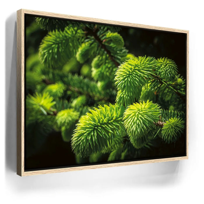 Featured image 9 for New Growth