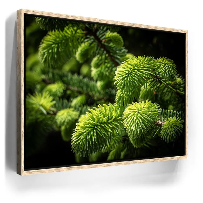 Featured image 9 for New Growth