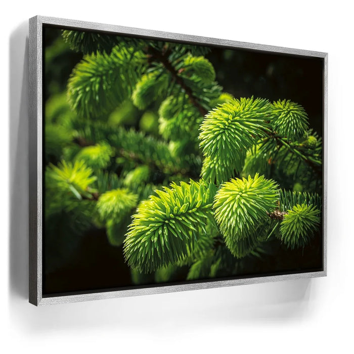 Featured image 8 for New Growth