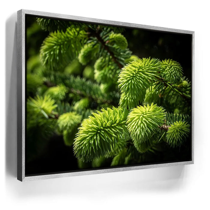 Featured image 8 for New Growth