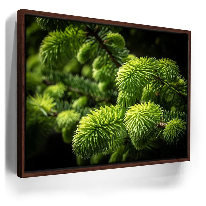 Featured image 10 for New Growth