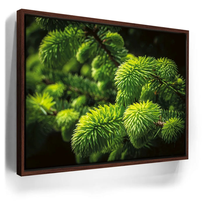 Featured image 10 for New Growth