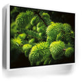 Featured image 6 for New Growth