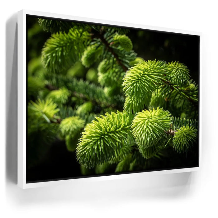 Featured image 6 for New Growth