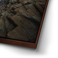 Thumbnail image 14 for Night Dance - Santa Cruz, California