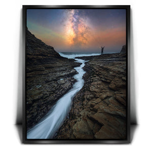 Night Dance - Santa Cruz, California