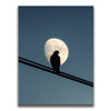 Featured image 1 for Night Hawk