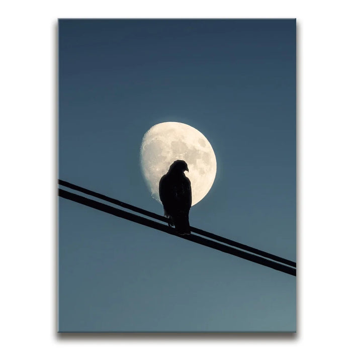 Featured image 1 for Night Hawk