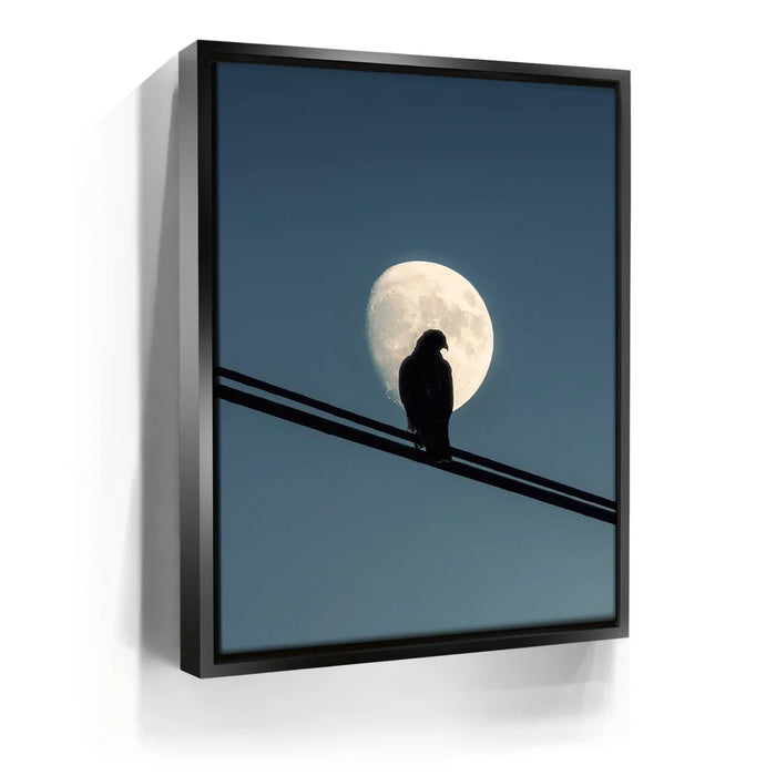 Featured image 5 for Night Hawk