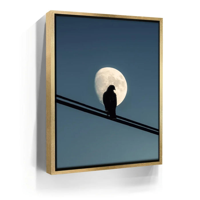 Featured image 7 for Night Hawk