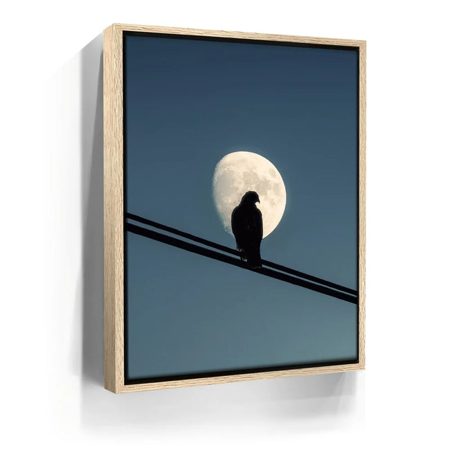 Featured image 9 for Night Hawk