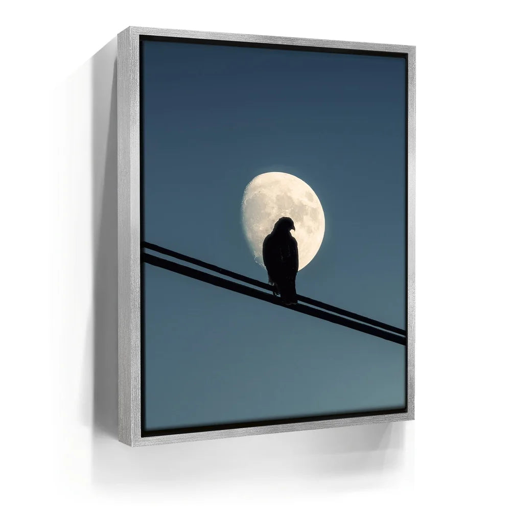 Featured image 8 for Night Hawk