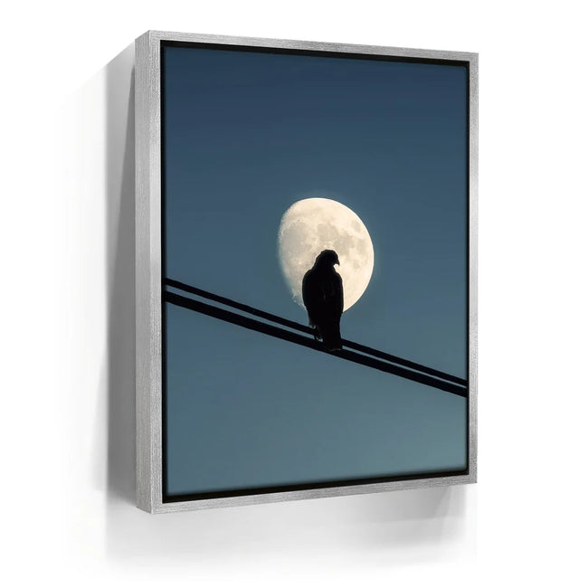 Featured image 8 for Night Hawk