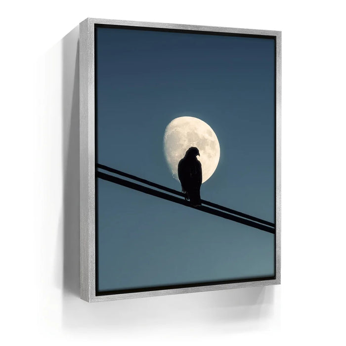 Featured image 8 for Night Hawk