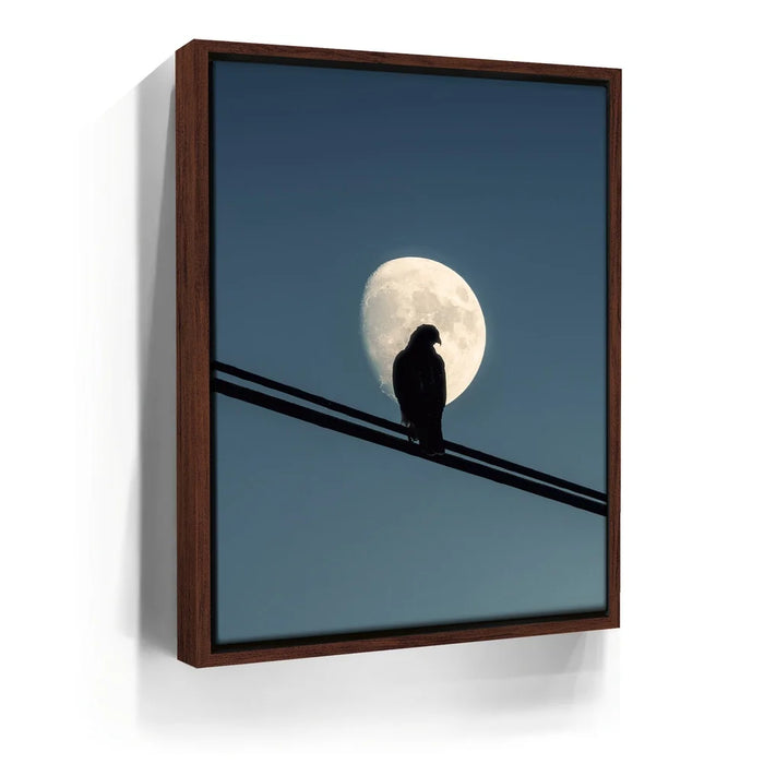 Featured image 10 for Night Hawk